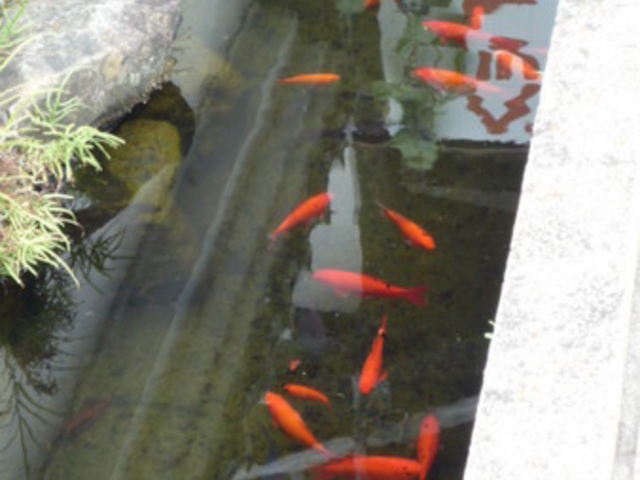 �������L���b�X�����[�h