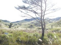 砥峰高原の写真一覧 - じゃらんnet