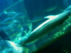 Ђ̂̓mr[`h&mቤւ̓eʐ^1