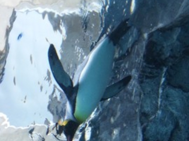 ���R������