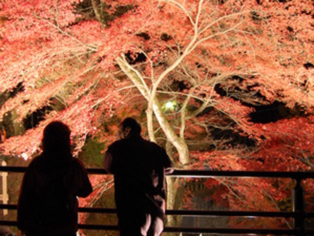 �ɍ��ۉ���̐Βi�X