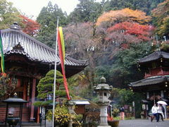 �݂�������̐��V�ω��ւ̓��e�ʐ^1