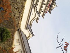 ����͂�����̎ᏼ��V��t�ւ̓��e�ʐ^1