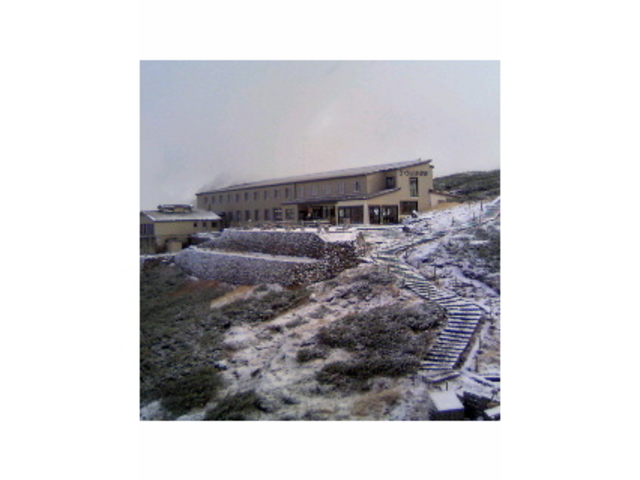 �݂��肪�r����