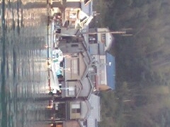 ς񂾂̏M݂̒ւ̓eʐ^1