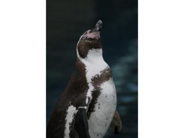 ���R������