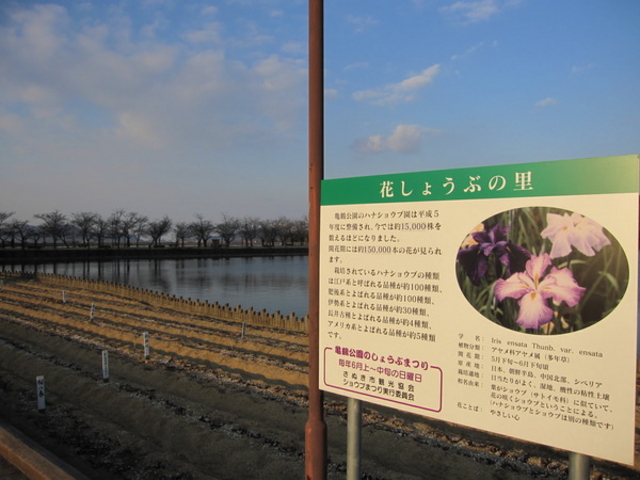 �����T�ߌ���