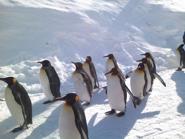 ���R������