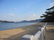 񂳂̒Óc̏ C̓eʐ^1