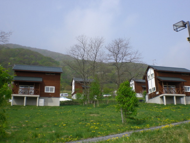 ݂񂳂̃~bgp[N̓eʐ^1