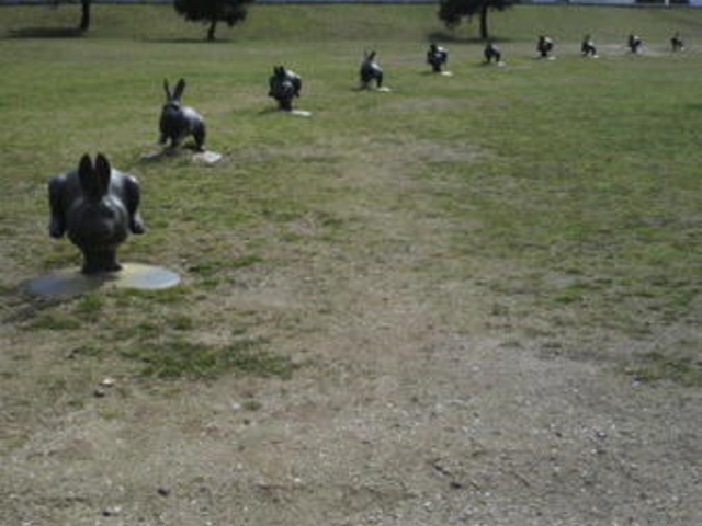 �����������p��