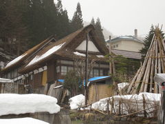 ߌ񂳂̓̏h ւ̓eʐ^1