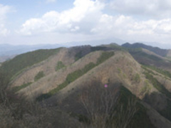 ベニシジミさんの鳴神山の投稿写真1