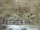 湧さんの奥祖谷二重かずら橋キャンプ場の投稿写真1