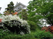 OEI[J[̏R鋽yق̓eʐ^1