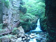 troop̂񂾂Č̓eʐ^1