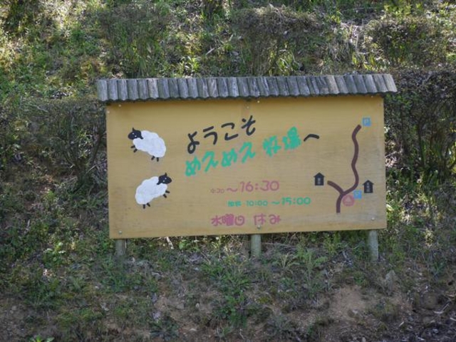 �߂��߂��q��