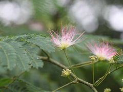 ă|ȅHۍH|̗ւ̓eʐ^1