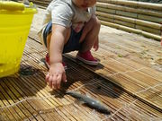 Ђ悿񂳂̒jȂ̓eʐ^1