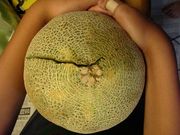 䂤Ђ낳̒Jό_̓eʐ^1