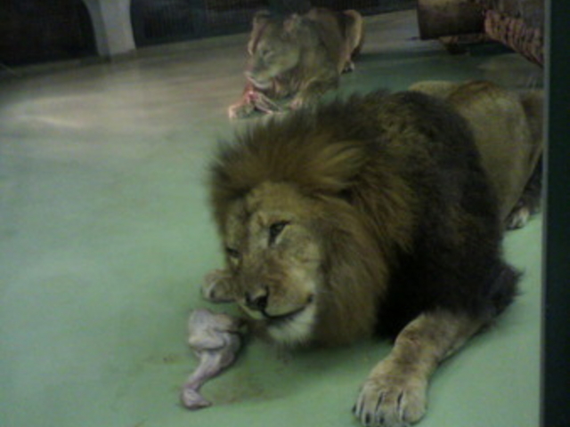 �~�R������