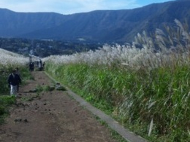 ��Ό�����