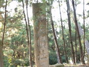 noridon����̈���̊���̓��e�ʐ^1