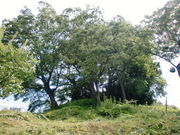 asahǐˎr_ˌÕ̓eʐ^1