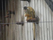 Ƃ̂P̑͌aӂꂠL̓eʐ^1