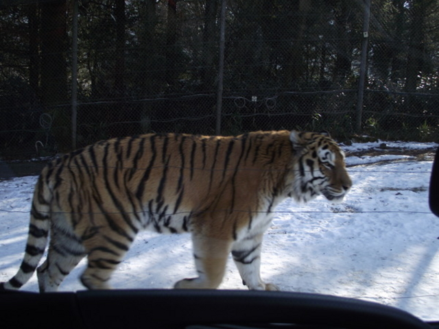 �x�m�T�t�@���p�[�N