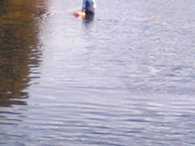 �߉��E��Ȑ�