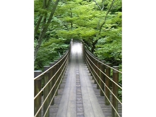 花貫渓谷