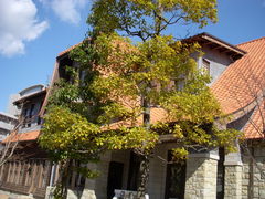 ݂̂tفiÉsz@j̎ʐ^1