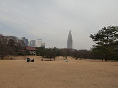 �����_�{�̎ʐ^1