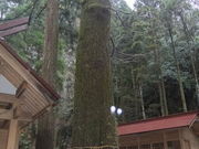 ange����̏H���_�Ђ̓��e�ʐ^1