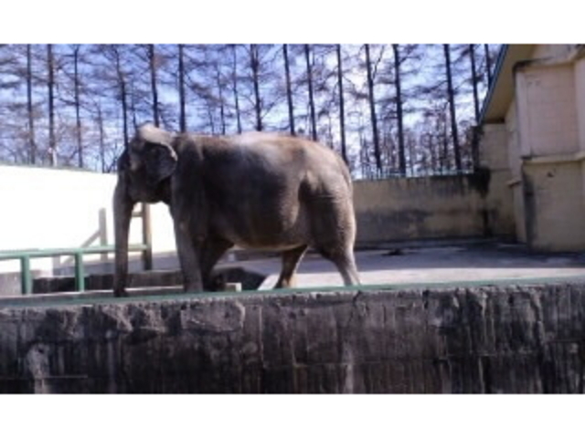 ���тЂ듮����