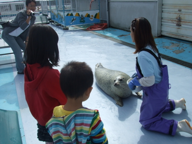 �I�z�[�c�N�Ƃ�����Z���^�[