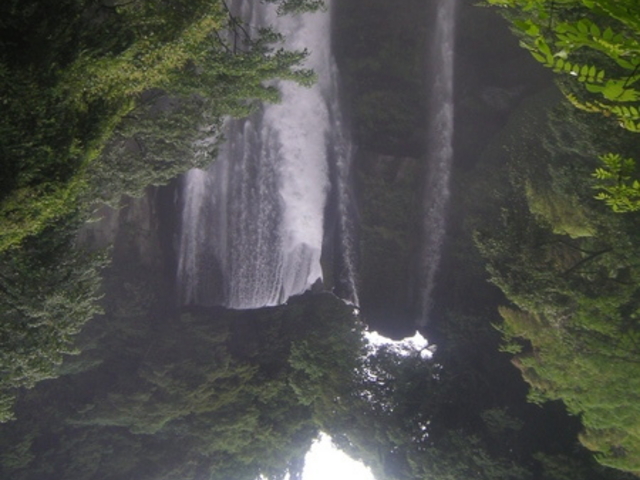 ������V����