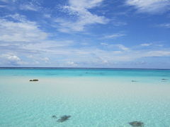 񂲕P̈ɗǕEnւ̓eʐ^1