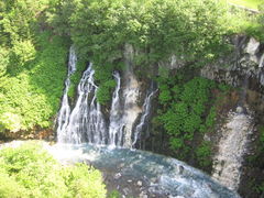 ���Ђ��̑�̎ʐ^1