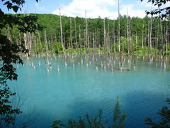 ���r�̎ʐ^1