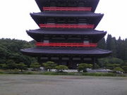 񂳂̘@؉@aV@̓eʐ^1