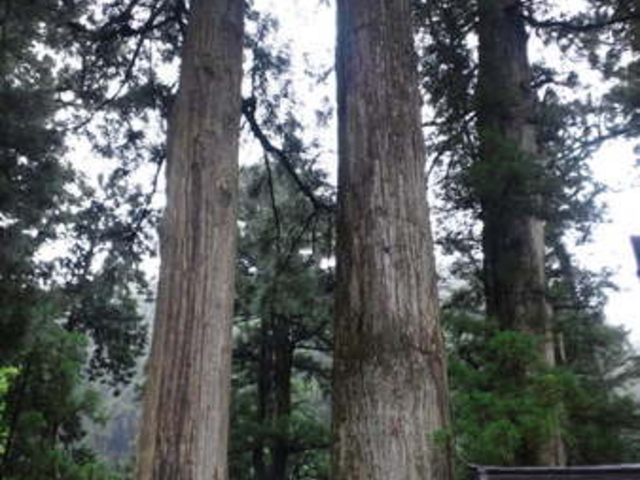 ������r�R�_��