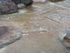 񂳂̑􂢂̓ւ̓eʐ^1