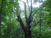 Teacher@K̊xЎRώ@т̓eʐ^1