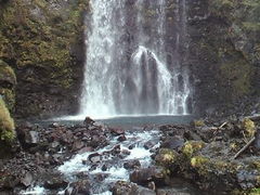 ݂񂮂݂₿搶̑PܘY̑ւ̓eʐ^1