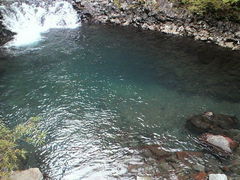 ݂񂮂݂₿搶̑PܘY̑ւ̓eʐ^1