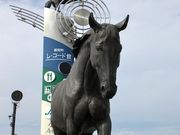 masato̓̉w Tubh[hV̓eʐ^1