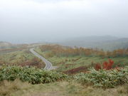 qf񂳂̑ÔR̍gt̓eʐ^1