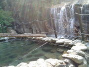 ҂񂳂̔R싽zCg[h̓eʐ^1